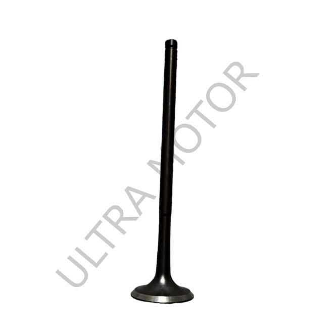 Apachi 4V (27HP) Egzoz Subap