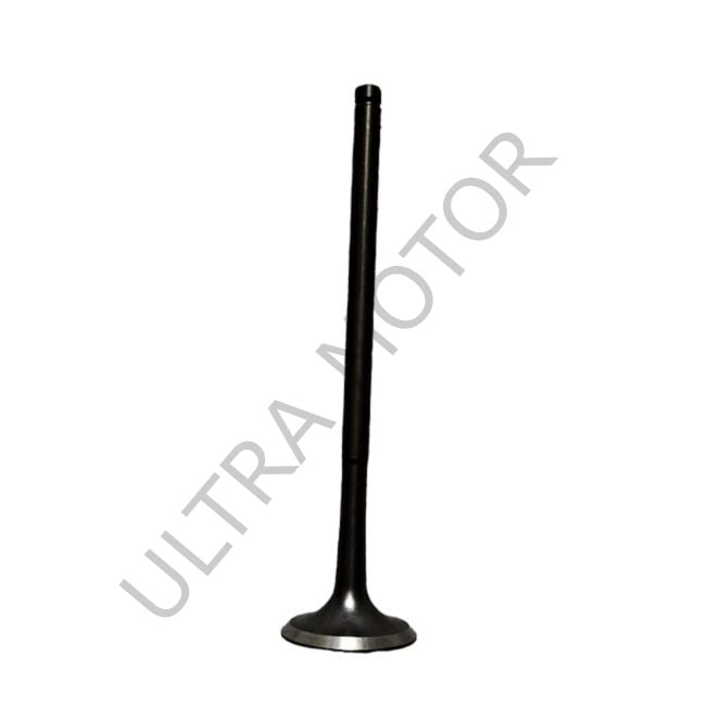 Apachi 4V (27HP) Egzoz Subap