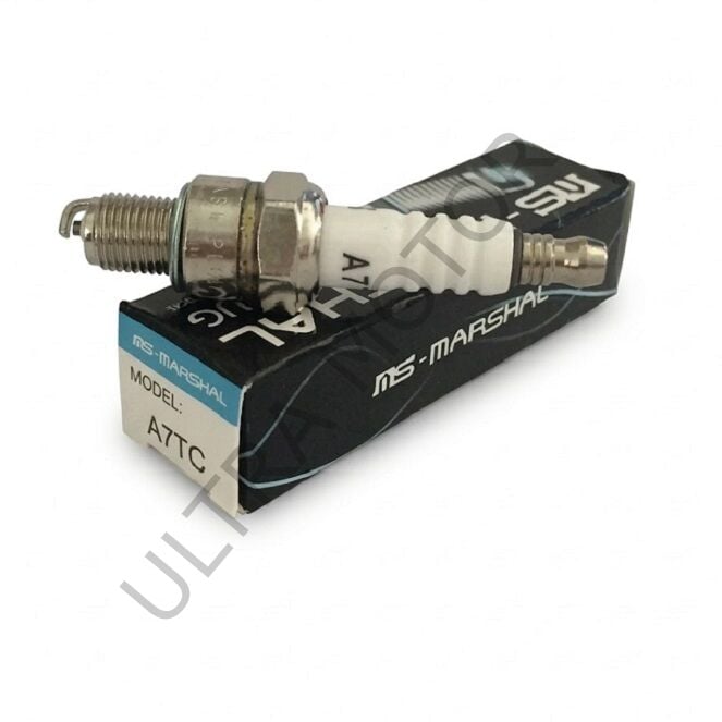 A7TC Cup Standart Buji