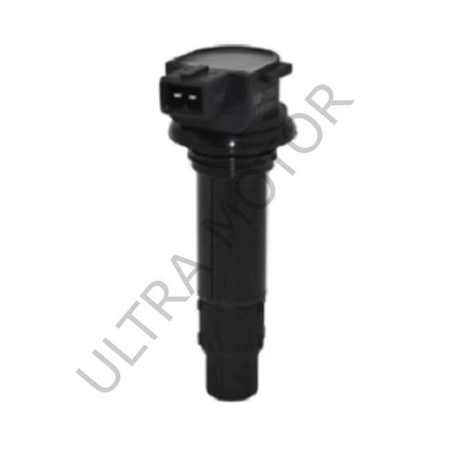 NK250/250SR Dış Bobini