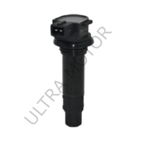 NK250/250SR Dış Bobini