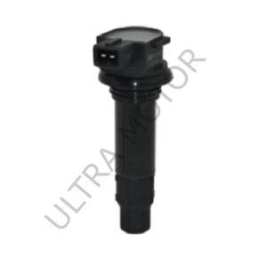 NK250/250SR Dış Bobini