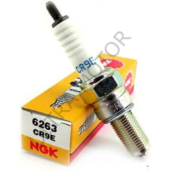 NGK CR9E Standart Buji