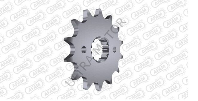 Afam Çelik Ön Dişli 24502-14 530