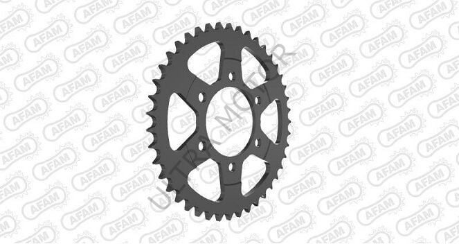 Afam Çelik Arka Dişli 16610-43 525