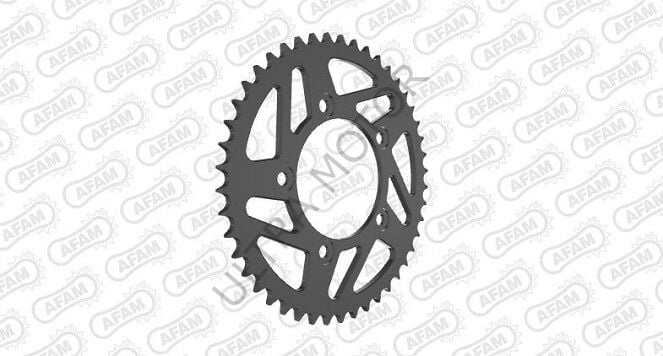 Afam Çelik Arka Dişli 50613-46 520