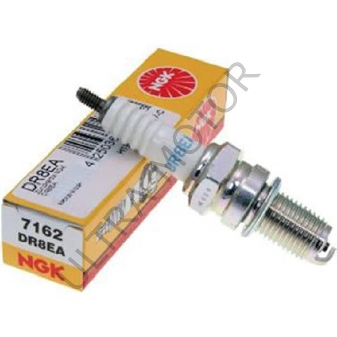 NGK DR8EA Standart Buji
