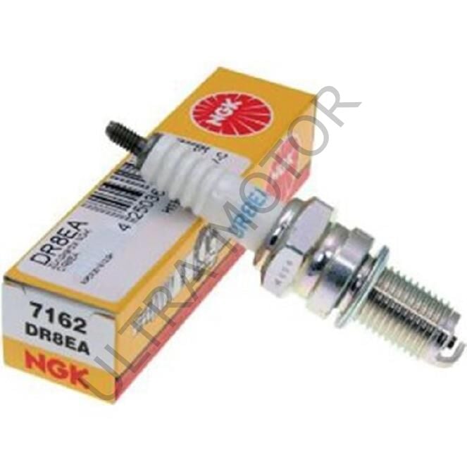 NGK DR8EA Standart Buji