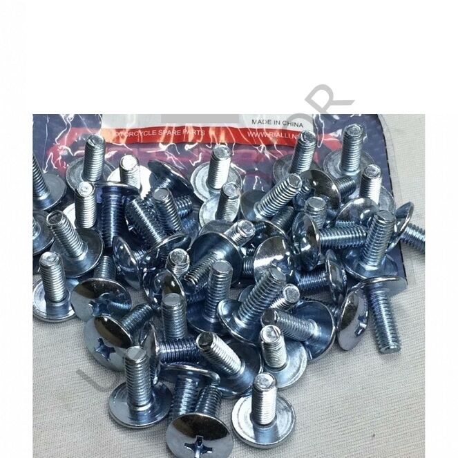 Kaporta Vidası 6x20mm 10lu